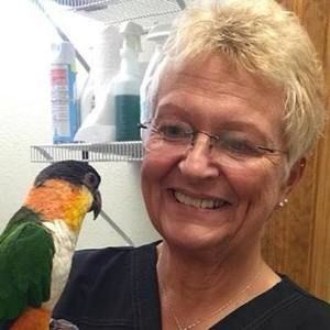 Meet your Posher, Joy